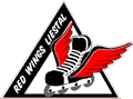 IHC Red Wings